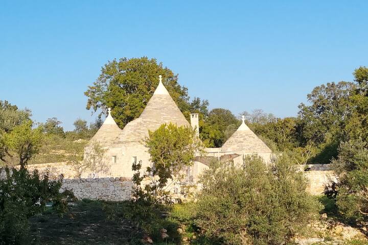 Trullo Aprus, immerso nel verde, piscina privata.