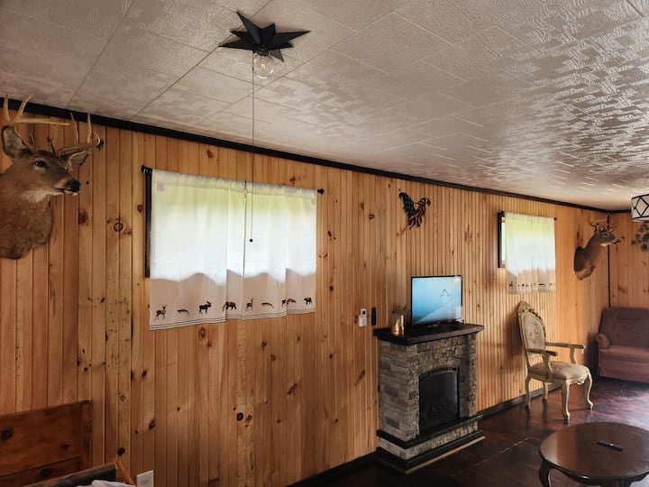 3 Bed/2 Bath Riverside Cabin - Elk County, PA