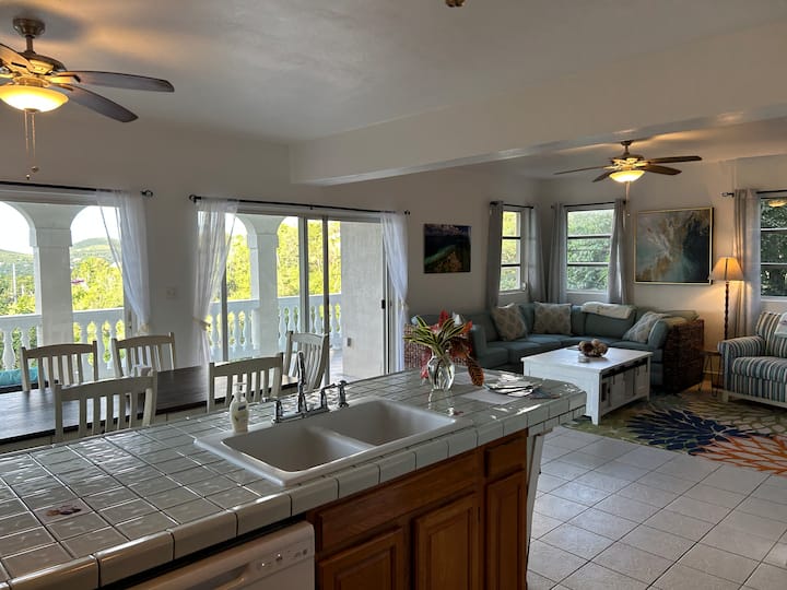 Villa Mango-views, Pool, 2 King Br, Back Up Power - Saint John