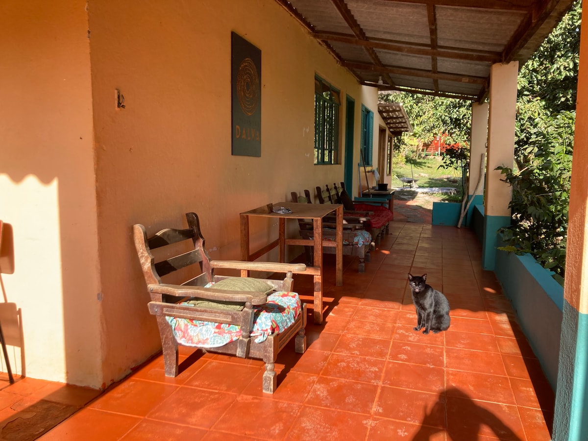 A shaded porch area features wooden seating with colorful cushions and a wooden table. The terracotta floor adds warmth, while a black cat sits calmly on the ground. Greenery is visible in the background, reflecting the natural surroundings.