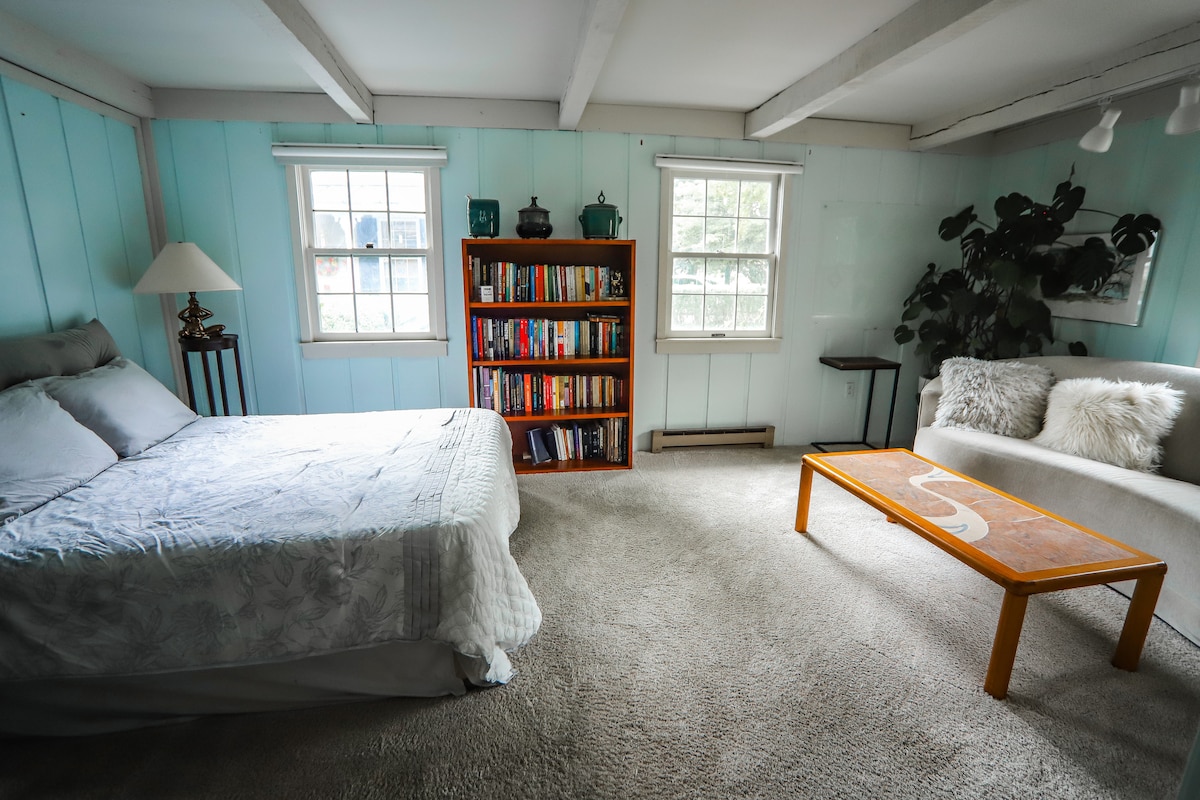 Amplio dormitorio en planta baja con muebles acogedores y suaves.