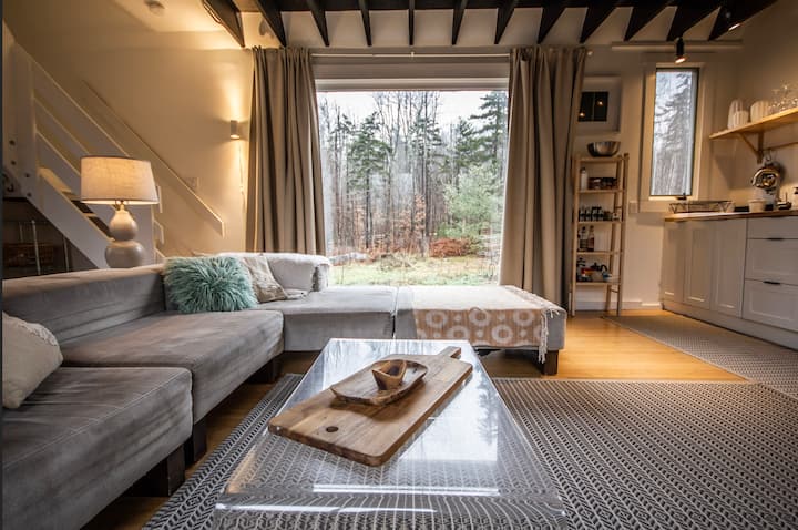 Black haus: a hip, cool house hidden in a forest. - Cabins for