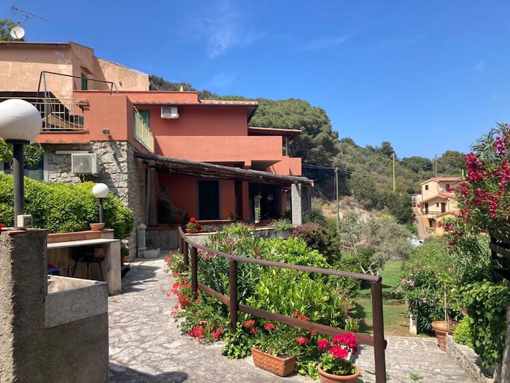 Aries 1 - Marciana Marina