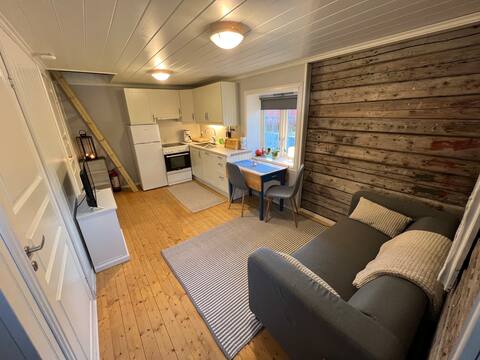 Cozy guesthouse in Moskenes, Lofoten
