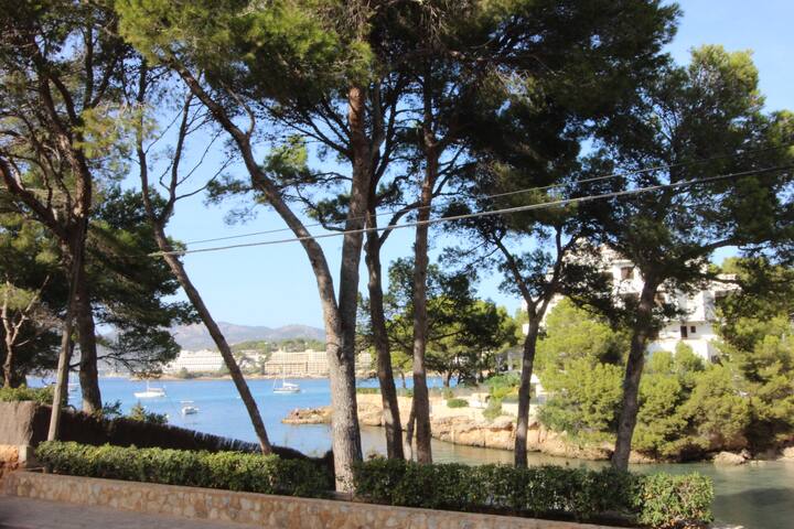 luxury apartment in front of the beach gallery image 2