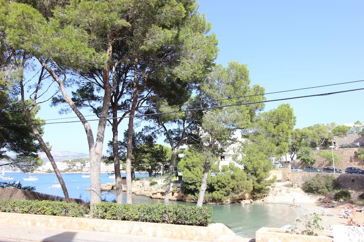 luxury apartment in front of the beach
