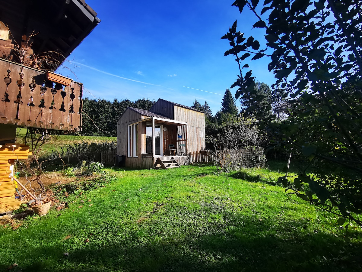 A tranquil garden space is depicted, featuring a well-maintained lawn surrounded by lush greenery. The petite independent house, constructed with wooden elements, has large windows allowing natural light to fill the interior. A small terrace is visible, offering outdoor seating.