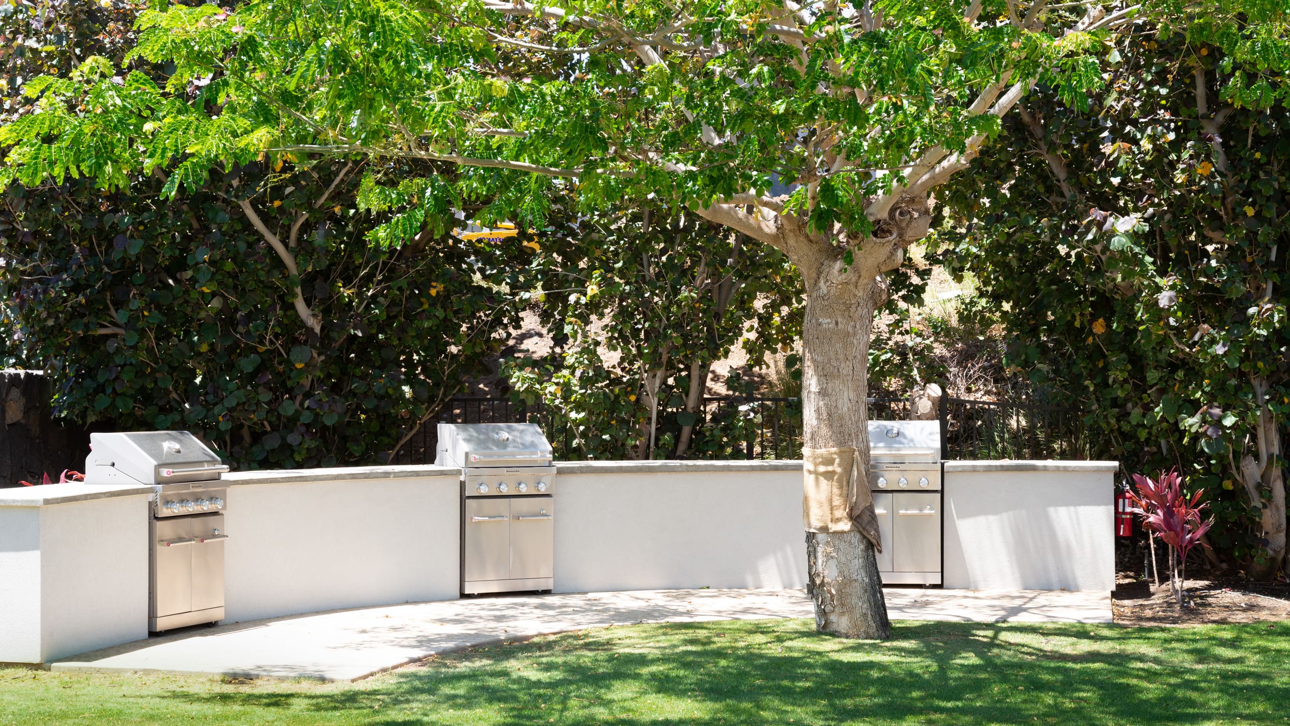 Home in Waimea · ★4.77 · 4 bedrooms · 9 beds · 4.5 baths - Image 71