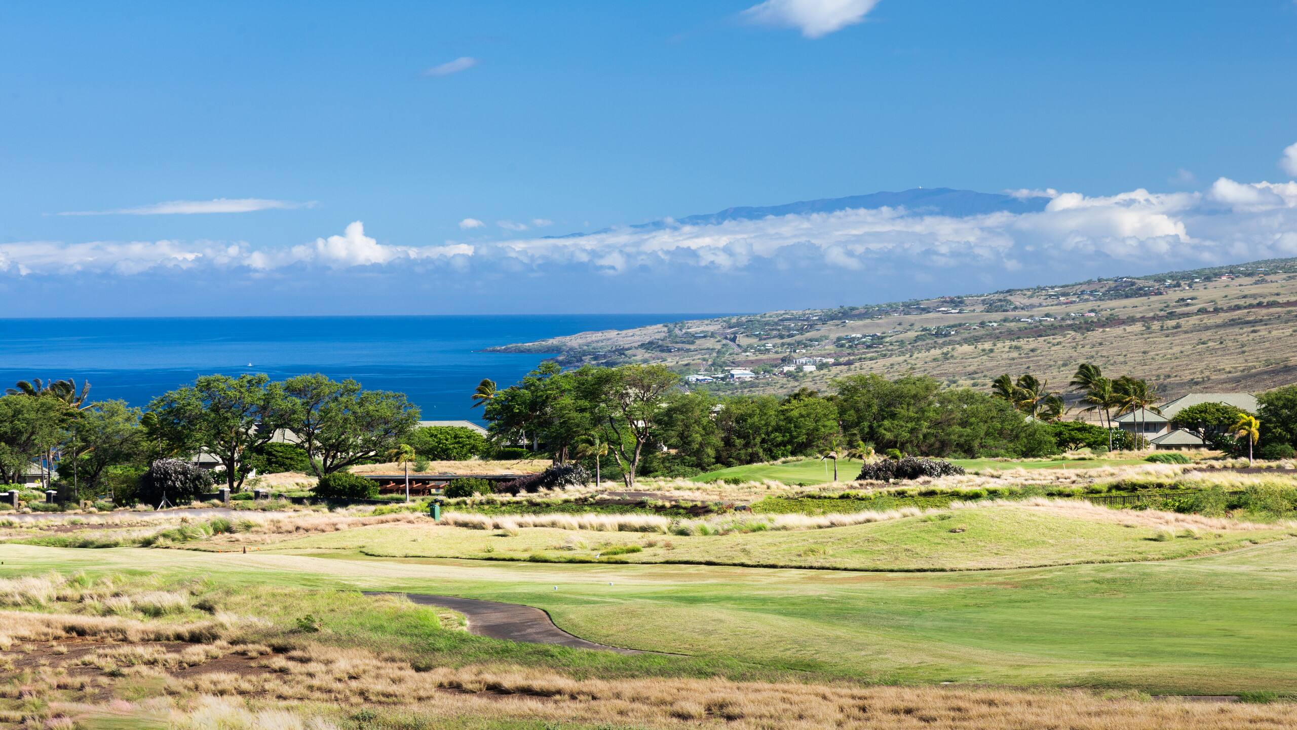 Home in Waimea · ★4.77 · 4 bedrooms · 9 beds · 4.5 baths - Image 64