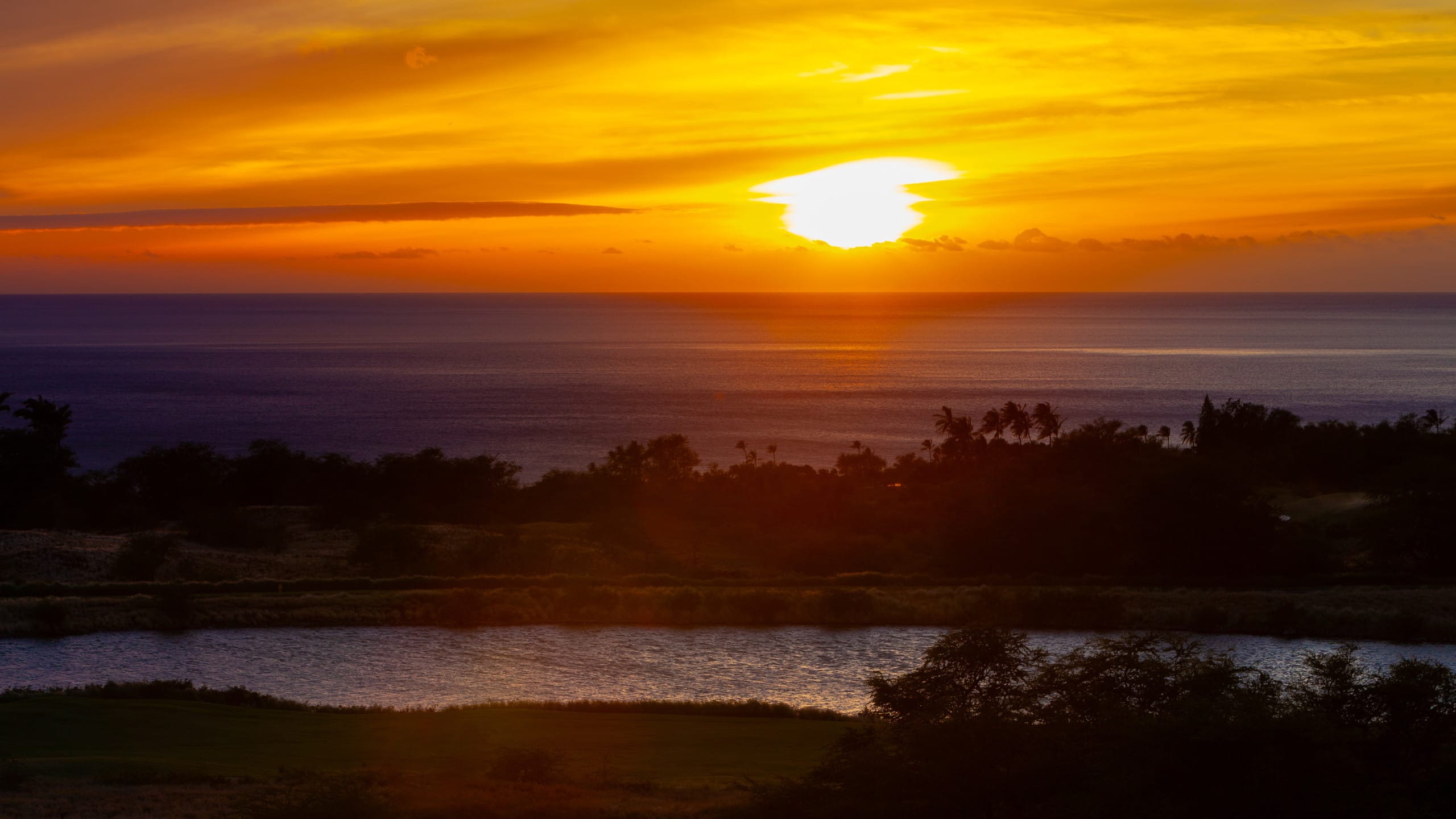 PiH:Sun Ray Retreat - Modern w/ Ocean Views - Photo 50
