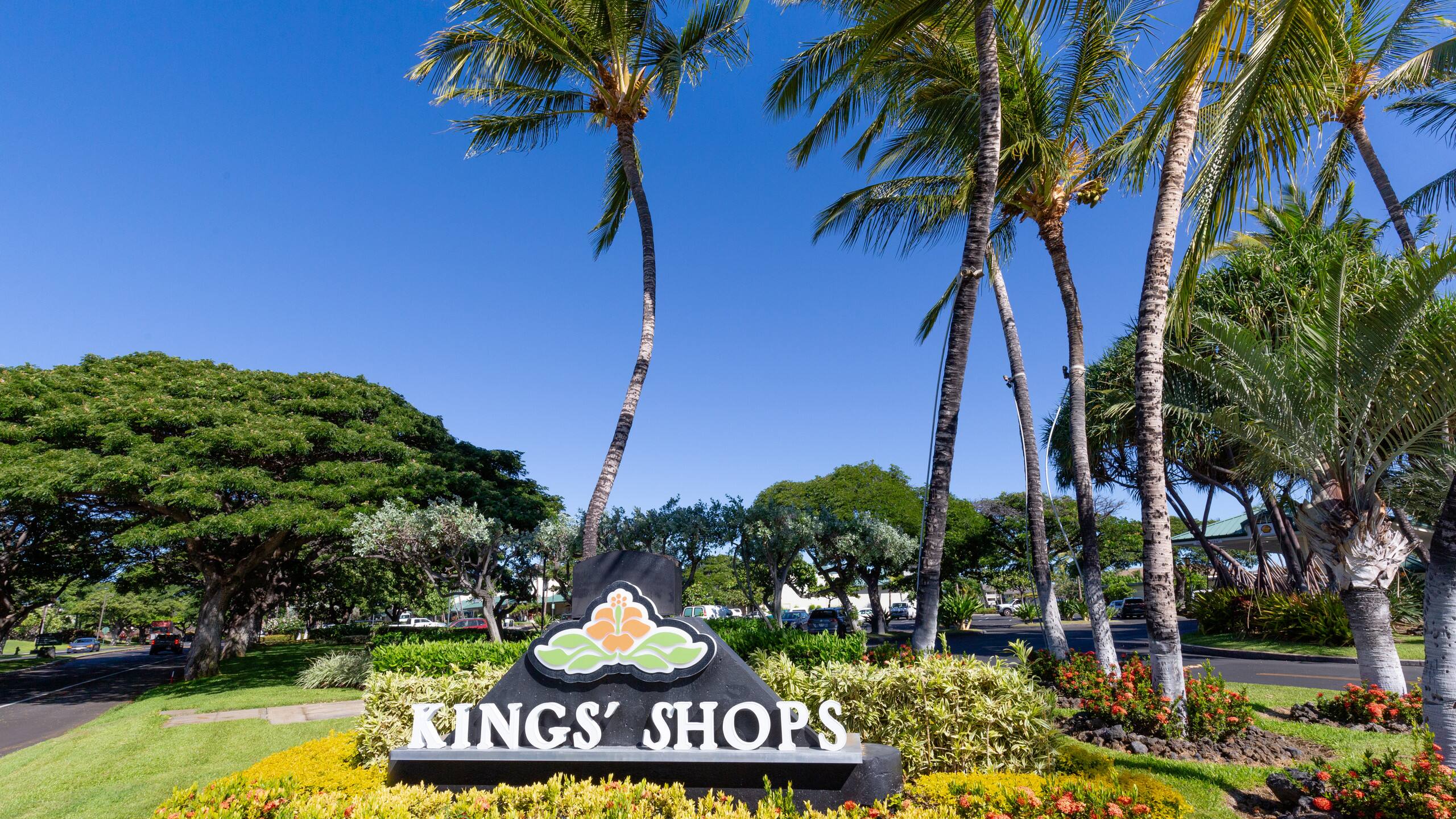 Luxury Waikoloa Resort Condo Pool, Beach, Golf - Photo 44