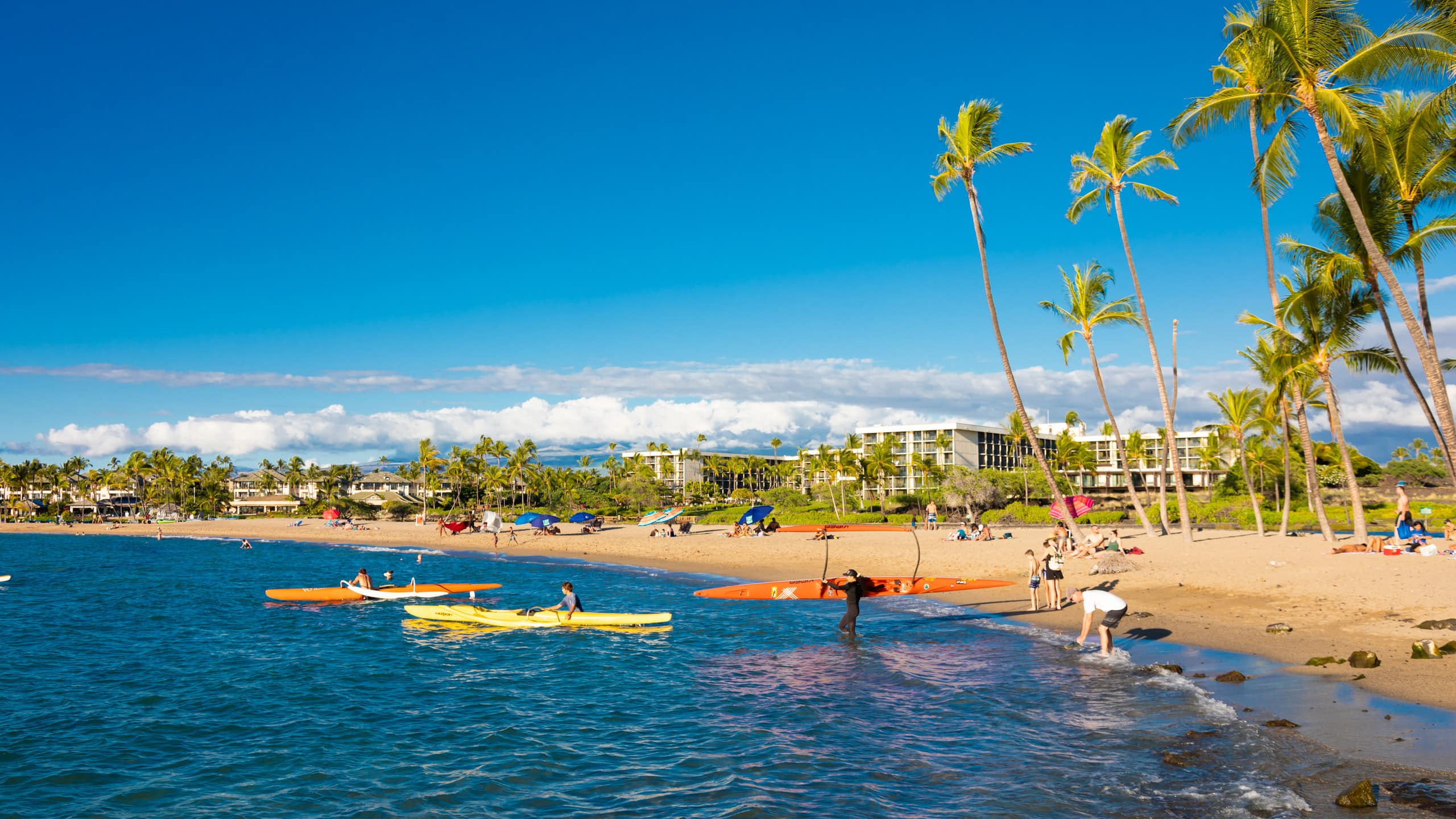 Luxury Waikoloa Resort Condo Pool, Beach, Golf - Photo 40