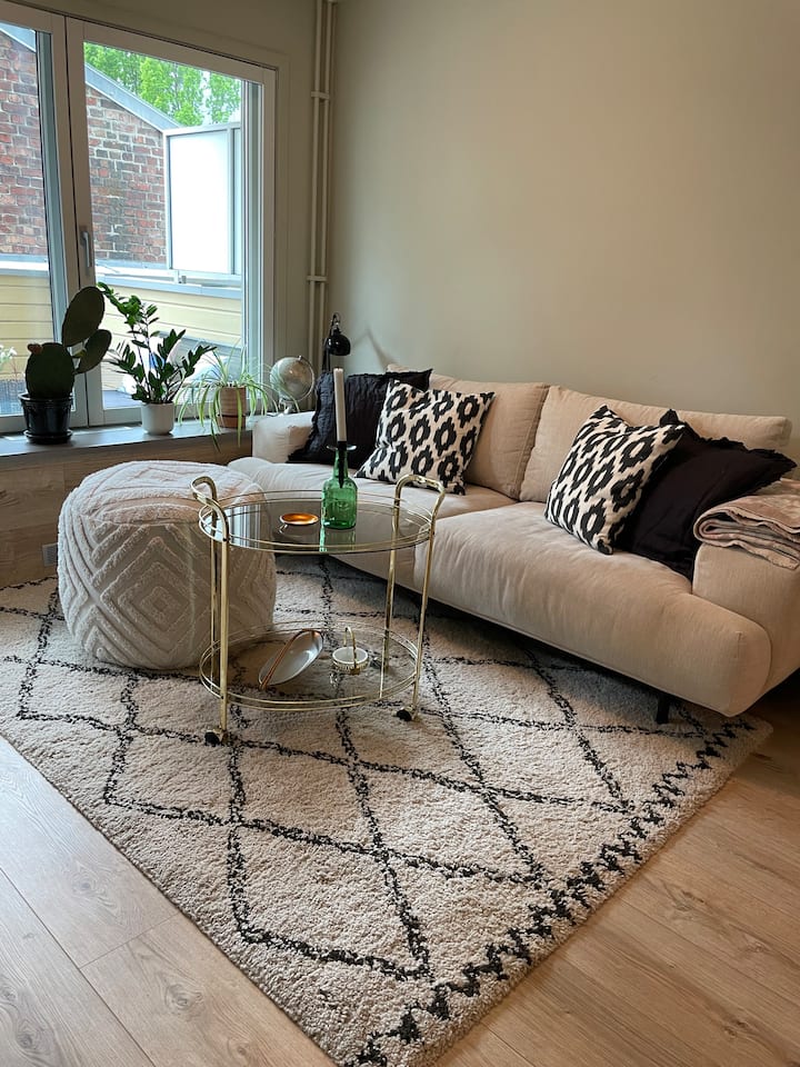 Sentralt Med Stor Balkong - Oslo