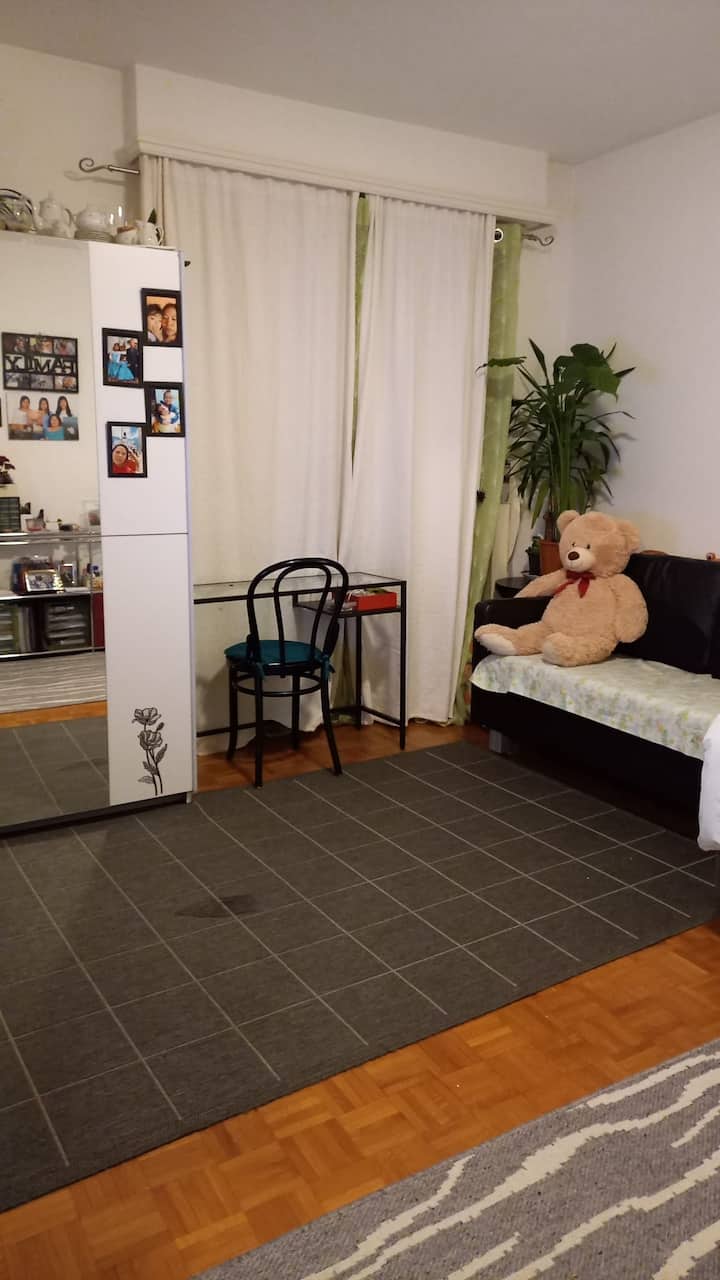 Apartamento En Lausana - Lausanne