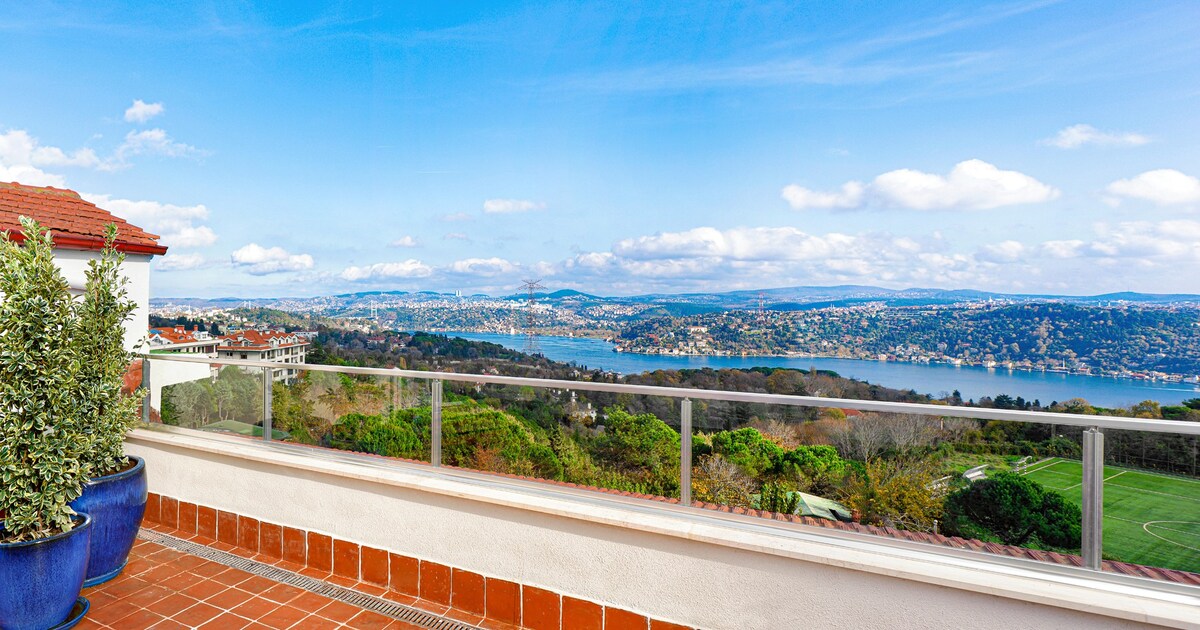 A spacious terrace is featured, bordered by a glass railing. Potted plants are placed at the edge, overlooking a sweeping view of the water and surrounding landscape. The blue sky is scattered with clouds, adding depth to the serene atmosphere.