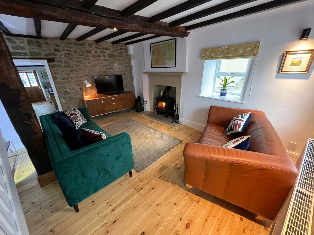 A cozy living area is defined by a green velvet sofa and a brown leather sofa facing each other. A soft rug anchors the space, while a flat-screen TV is positioned on a wooden console. A fireplace adds warmth, and natural light filters through a window adorned with a patterned blind.