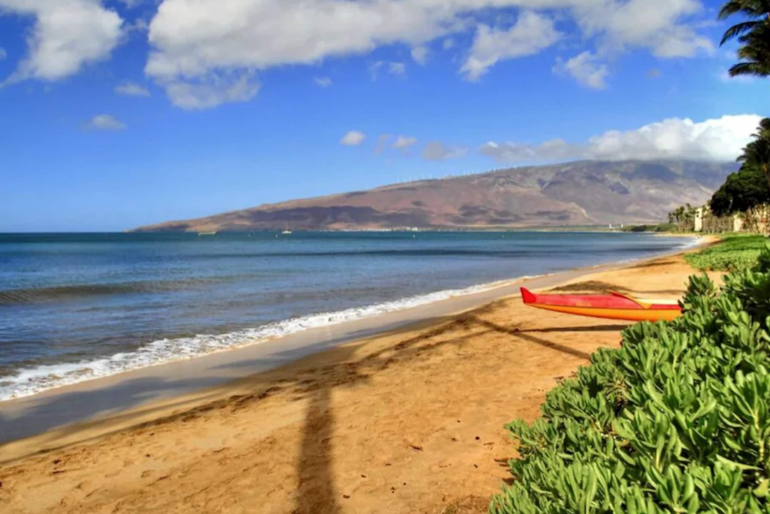 Guesthouse in Kihei · ★5.0 · 1 bedroom · 1 bed · 1 bath - Image 14