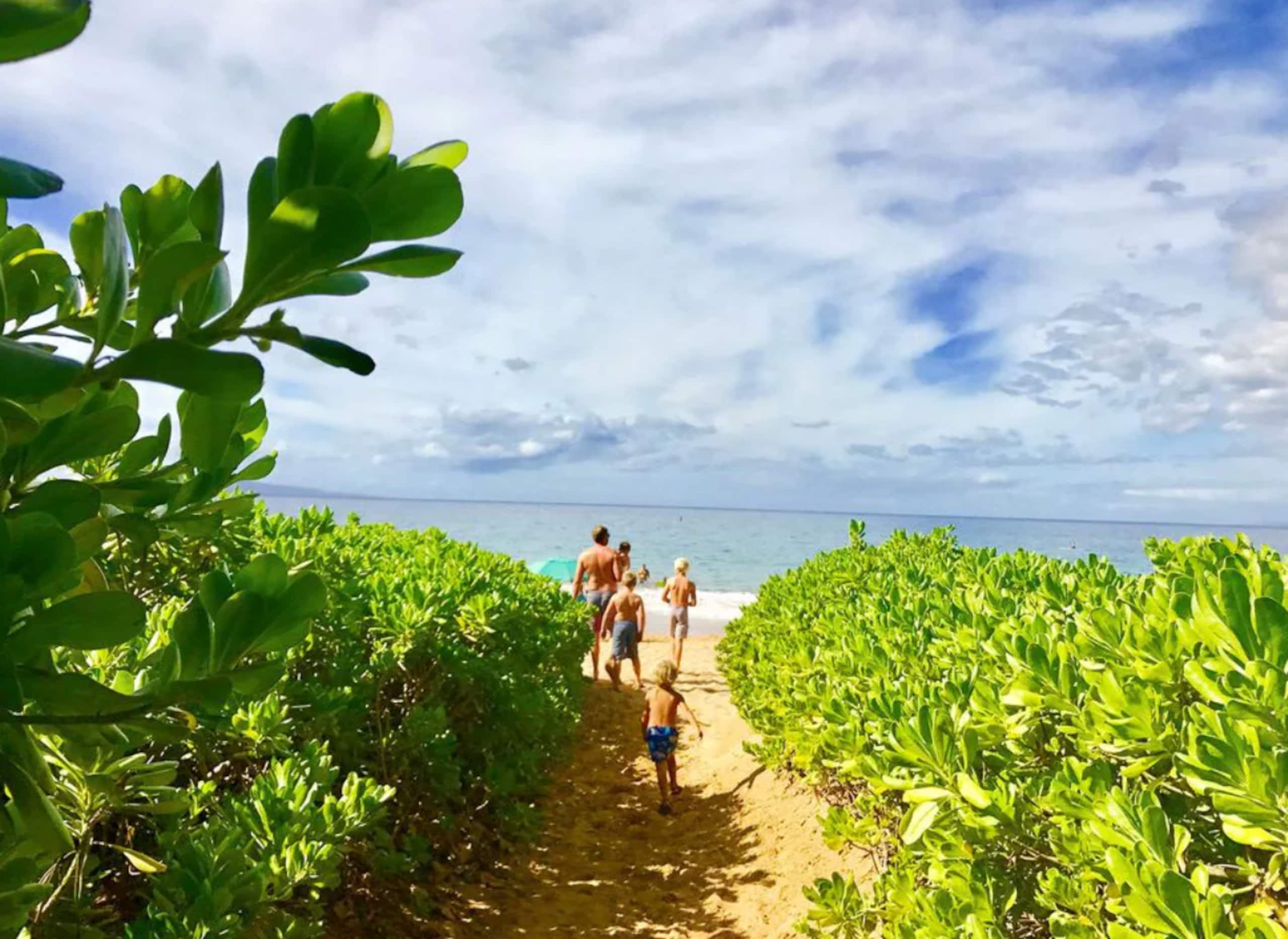 Guesthouse in Kihei · ★5.0 · 1 bedroom · 1 bed · 1 bath - Image 15