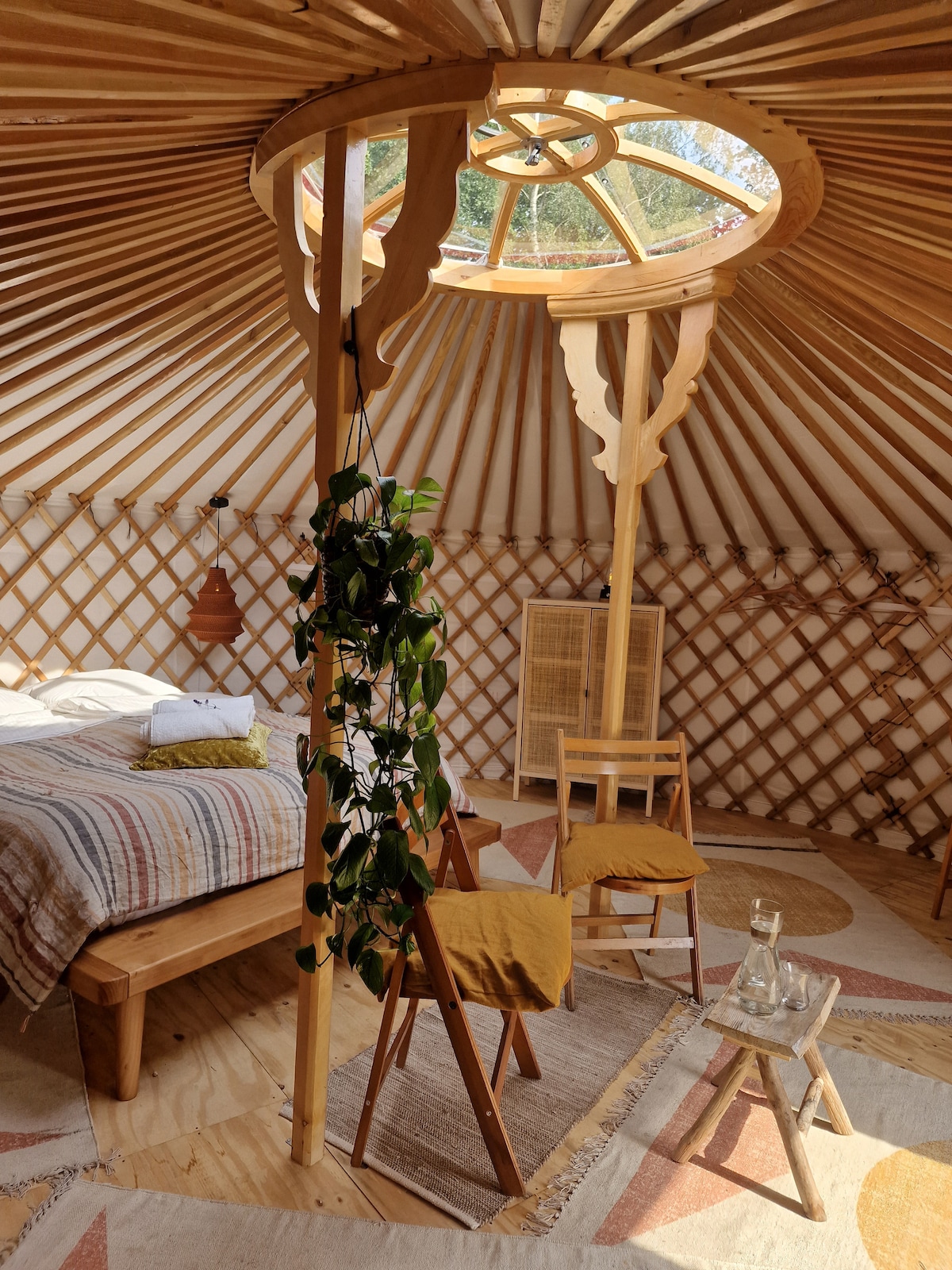 The interior of the yurt features a circular design with a skylight at the center, allowing natural light to enter. A spacious bed is positioned next to two wooden chairs, with a small glass of water placed on a floor mat. Greenery complements the wooden elements.