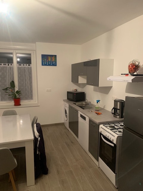 The kitchen features modern cabinetry in gray and white, complemented by stainless steel appliances. A dining table with chairs occupies the space, while a small plant decorates the windowsill. Natural light enters through the window, enhancing the bright and functional layout.