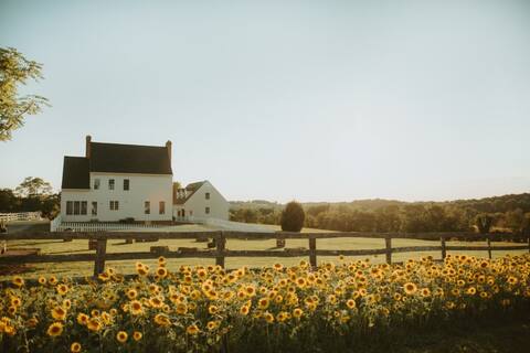 Sunsets from a Haven on a Hill