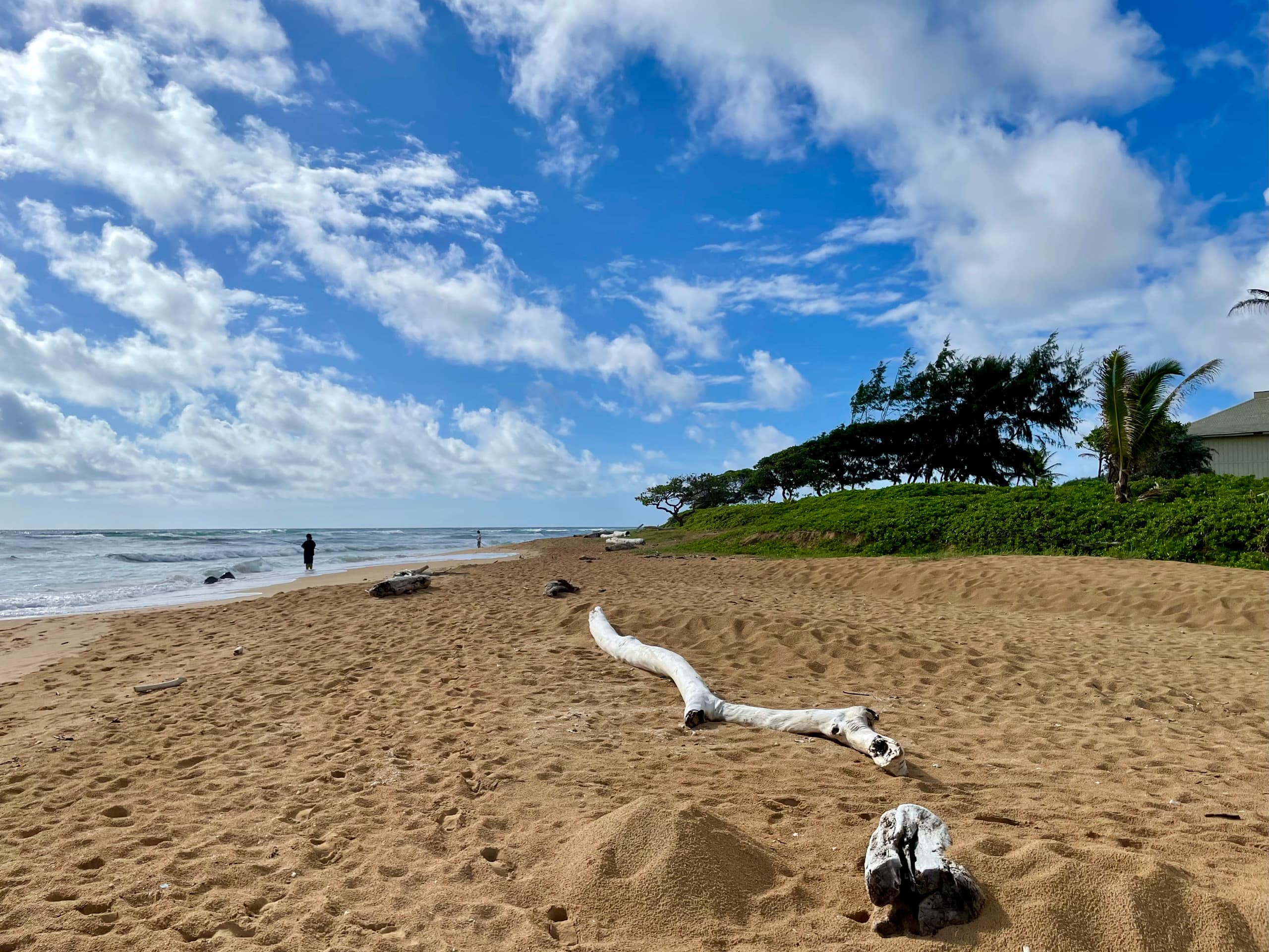 Resort in Lihue · ★4.9 · 1 bedroom · 2 beds · 1 private bath - Image 36
