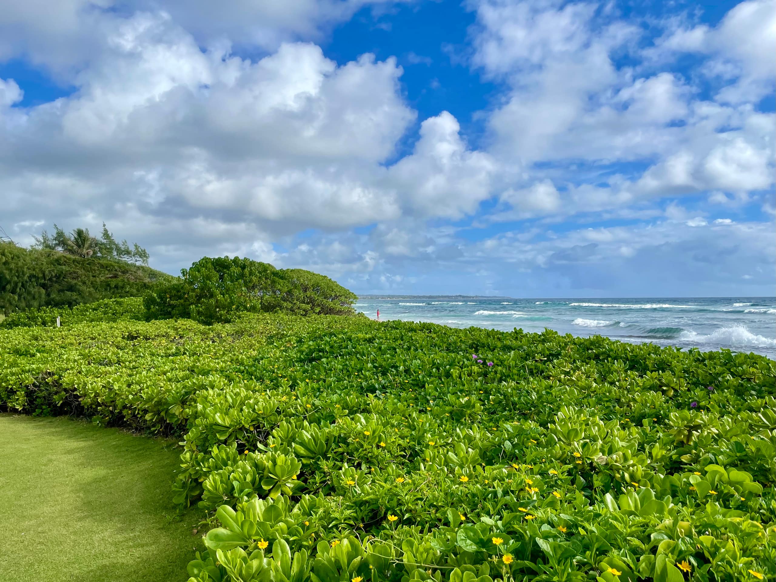 Resort in Lihue · ★4.9 · 1 bedroom · 2 beds · 1 private bath - Image 41