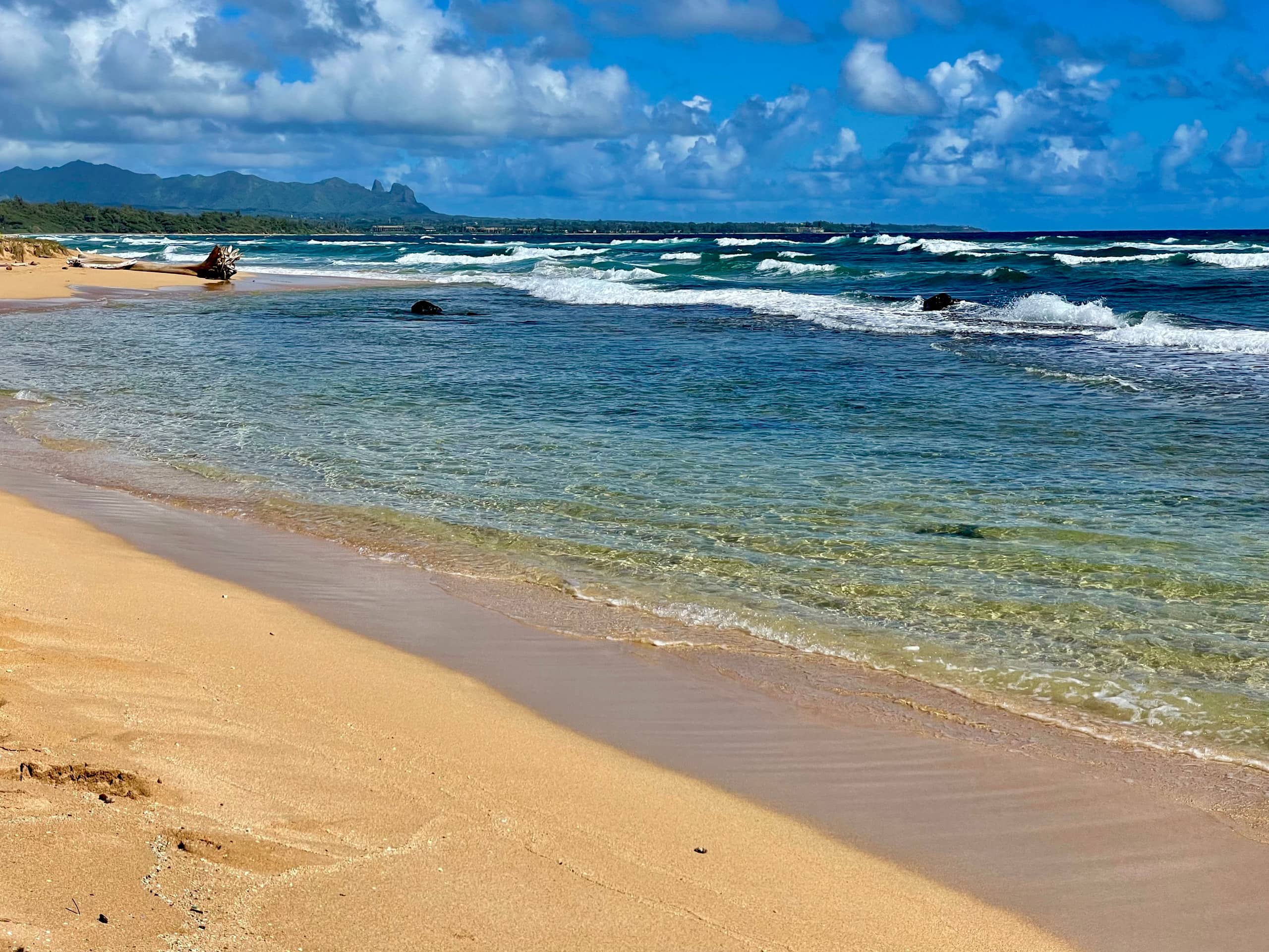 Resort in Lihue · ★4.9 · 1 bedroom · 2 beds · 1 private bath - Image 38