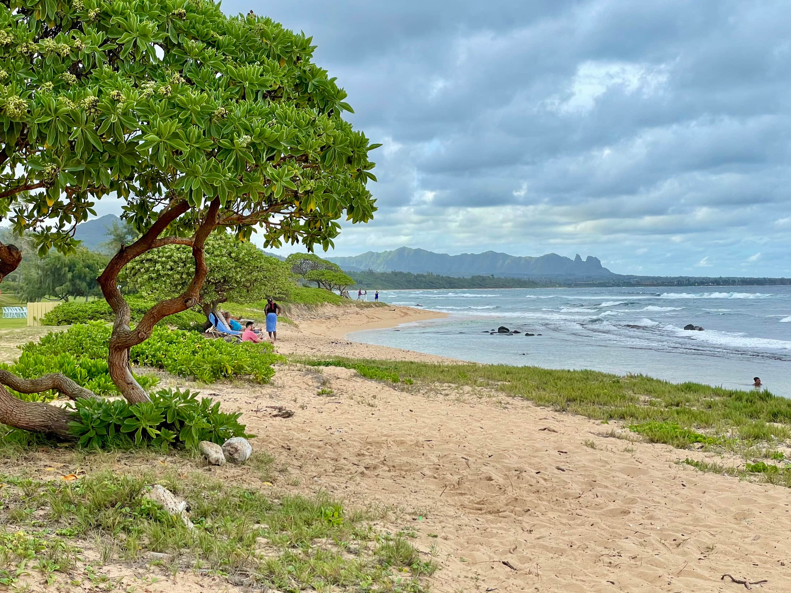Resort in Lihue · ★4.9 · 1 bedroom · 2 beds · 1 private bath - Image 34