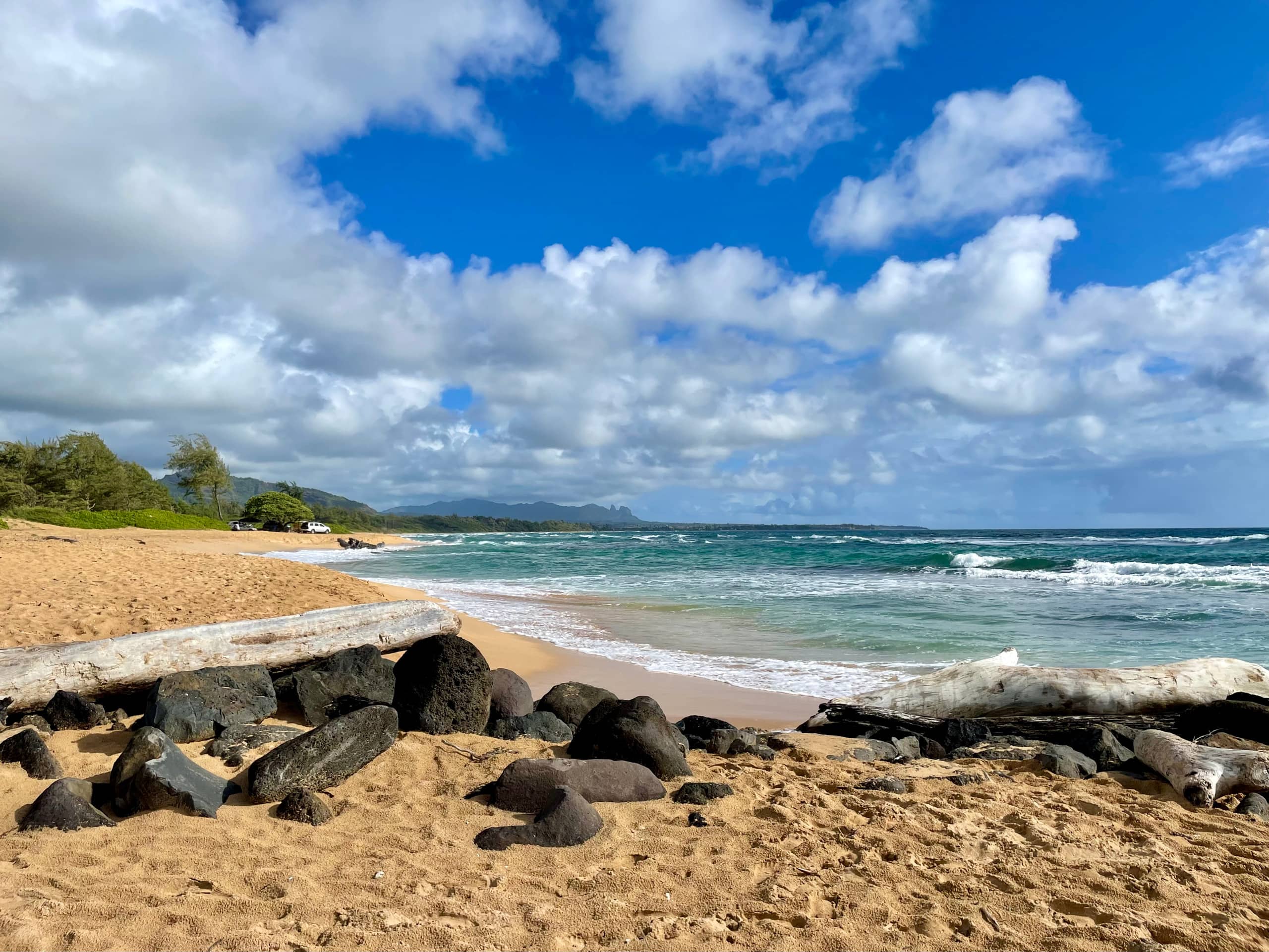 Resort in Lihue · ★4.9 · 1 bedroom · 2 beds · 1 private bath - Image 37