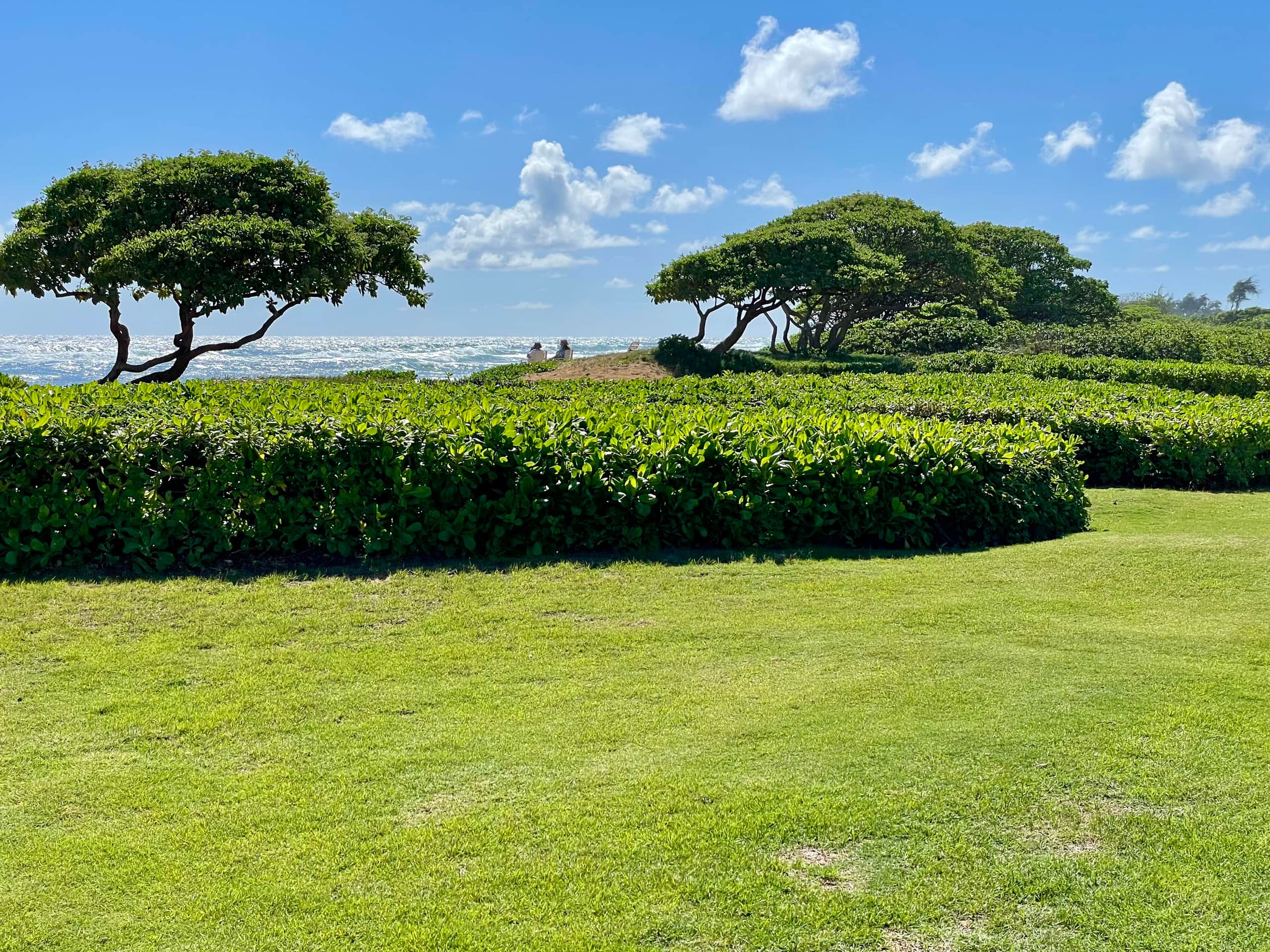 Resort in Lihue · ★4.9 · 1 bedroom · 2 beds · 1 private bath - Image 42