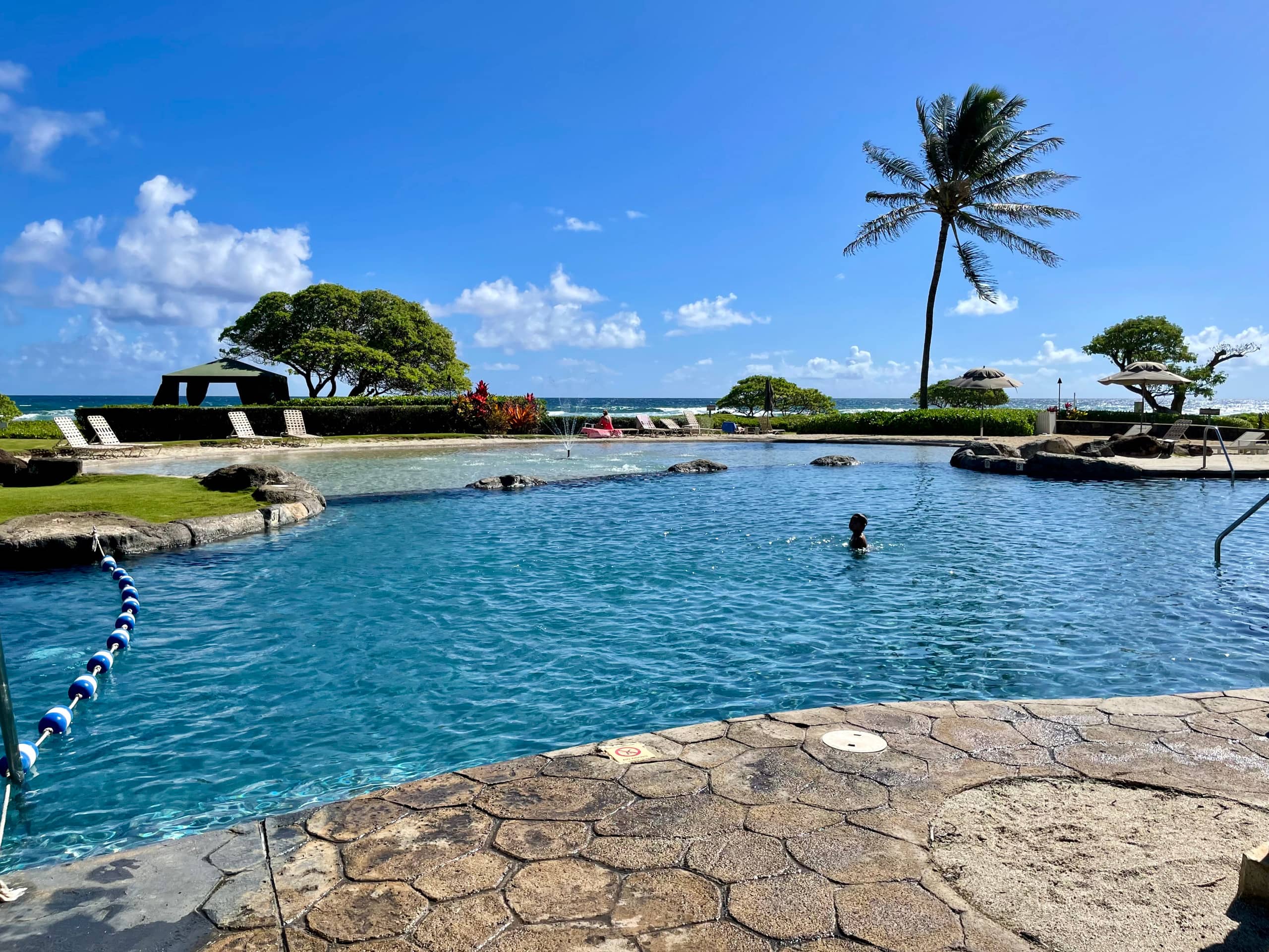 Resort in Lihue · ★4.9 · 1 bedroom · 2 beds · 1 private bath - Image 26