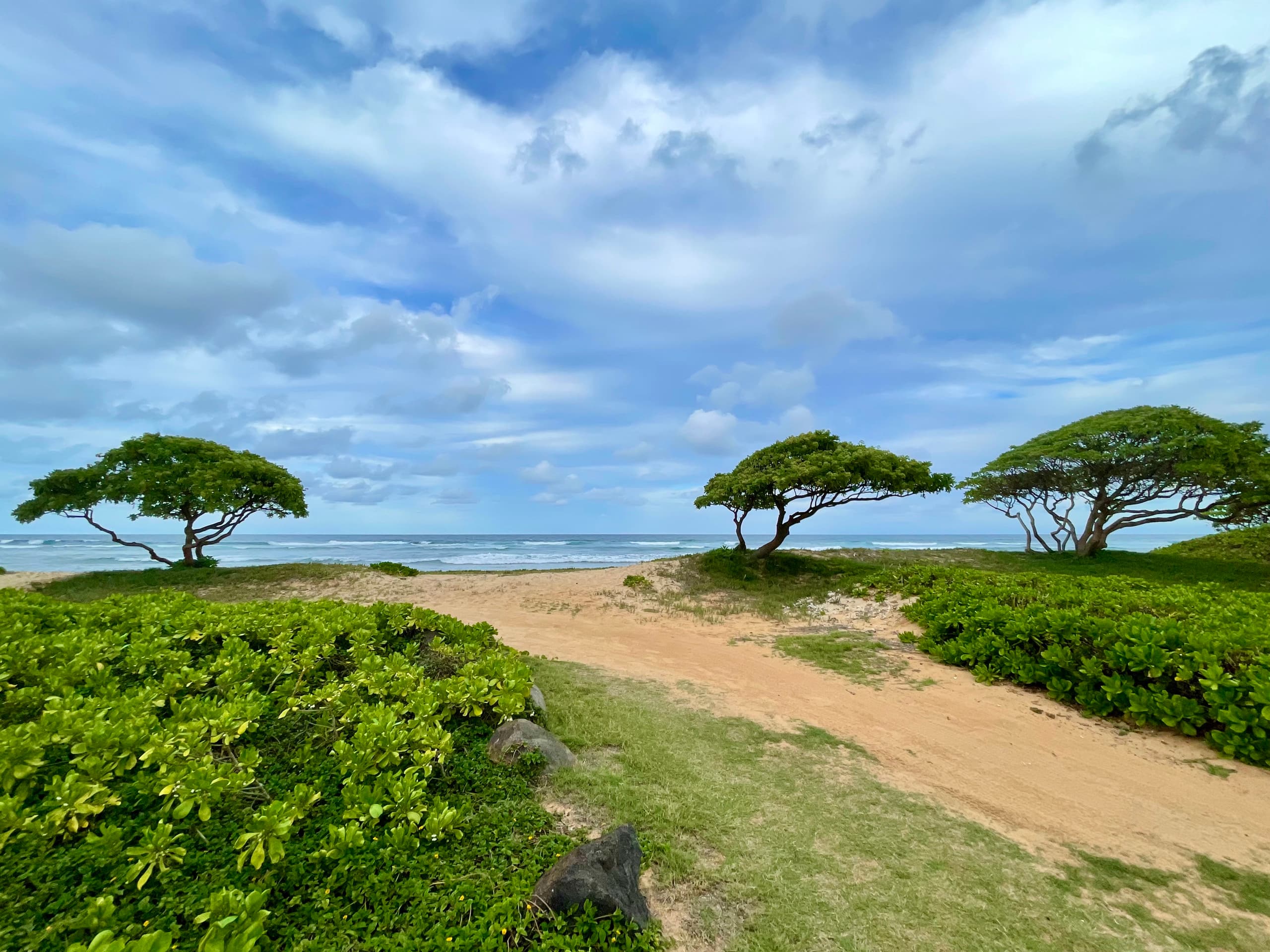 Resort in Lihue · ★4.9 · 1 bedroom · 2 beds · 1 private bath - Image 32