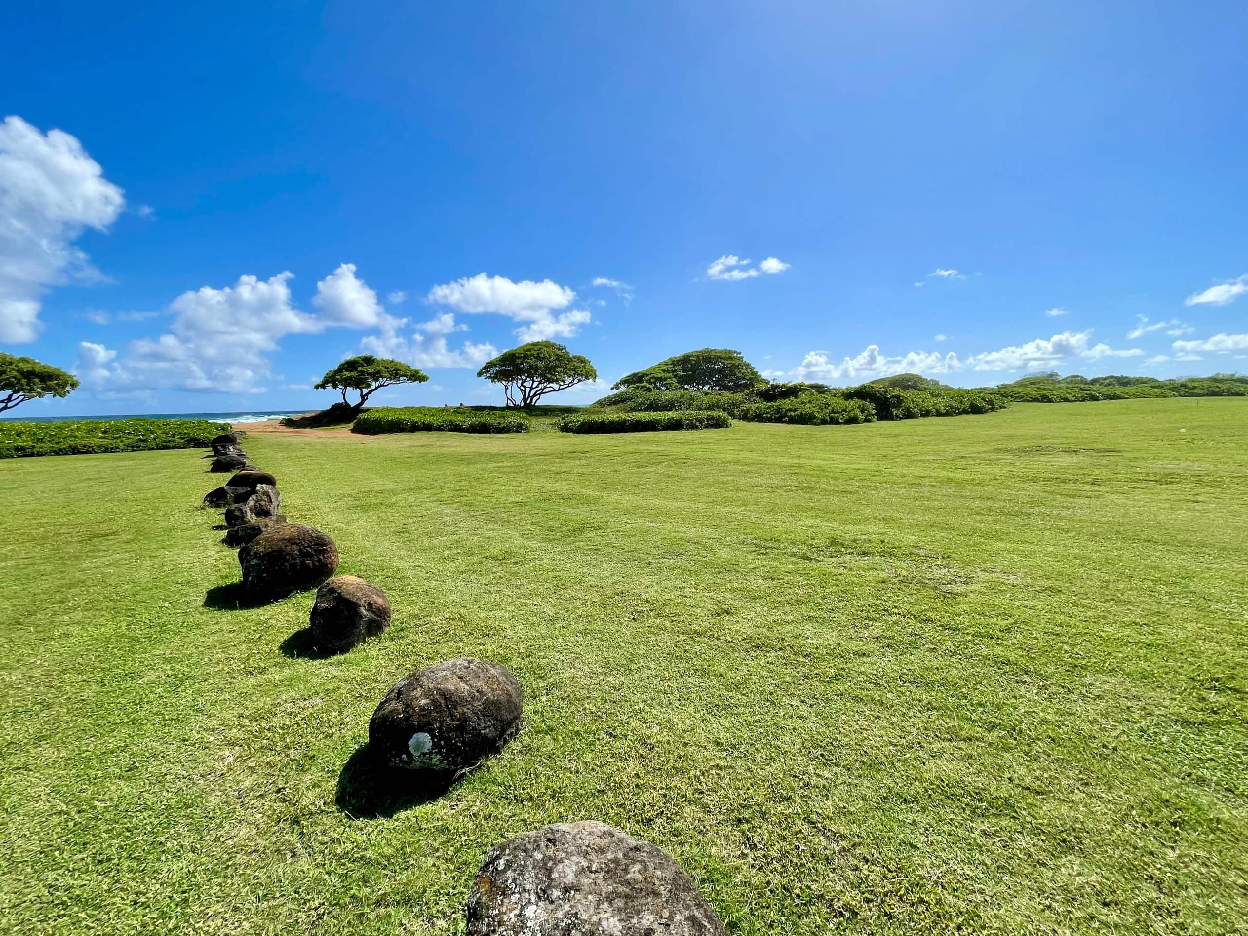 Resort in Lihue · ★4.9 · 1 bedroom · 2 beds · 1 private bath - Image 31