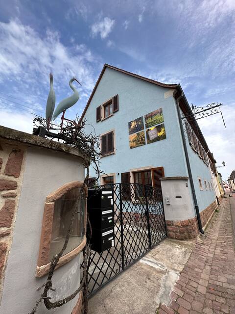Charming and warm gite in the vineyard