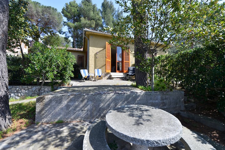 Pini - Marciana Marina