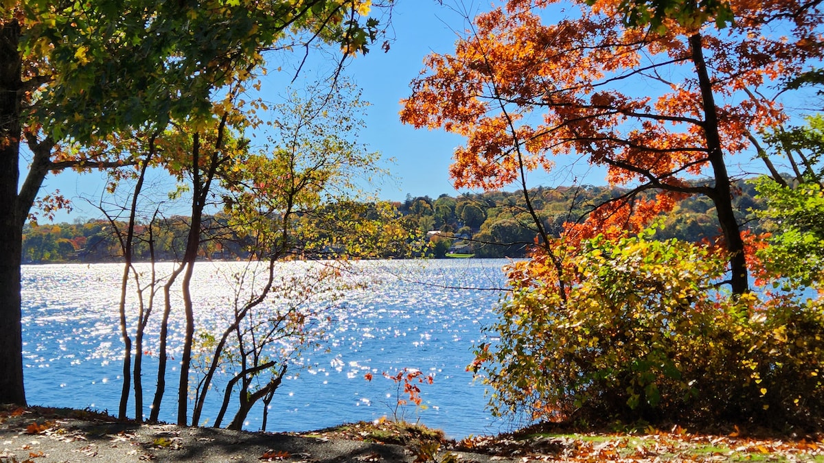 A serene lakeside scene is framed by trees displaying vibrant autumn foliage. Sunlight glistens on the water's surface, creating a sparkling reflection. The distant shoreline is visible, enhancing the peaceful ambiance of the natural setting.