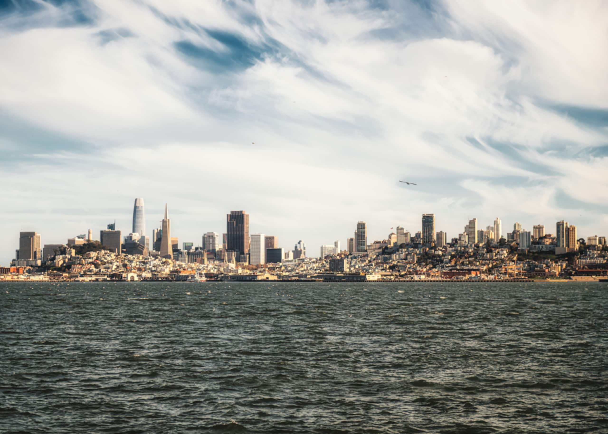 Guesthouse in San Francisco · ★4.95 · 2 bedrooms · 3 beds · 1 bath - Image 20