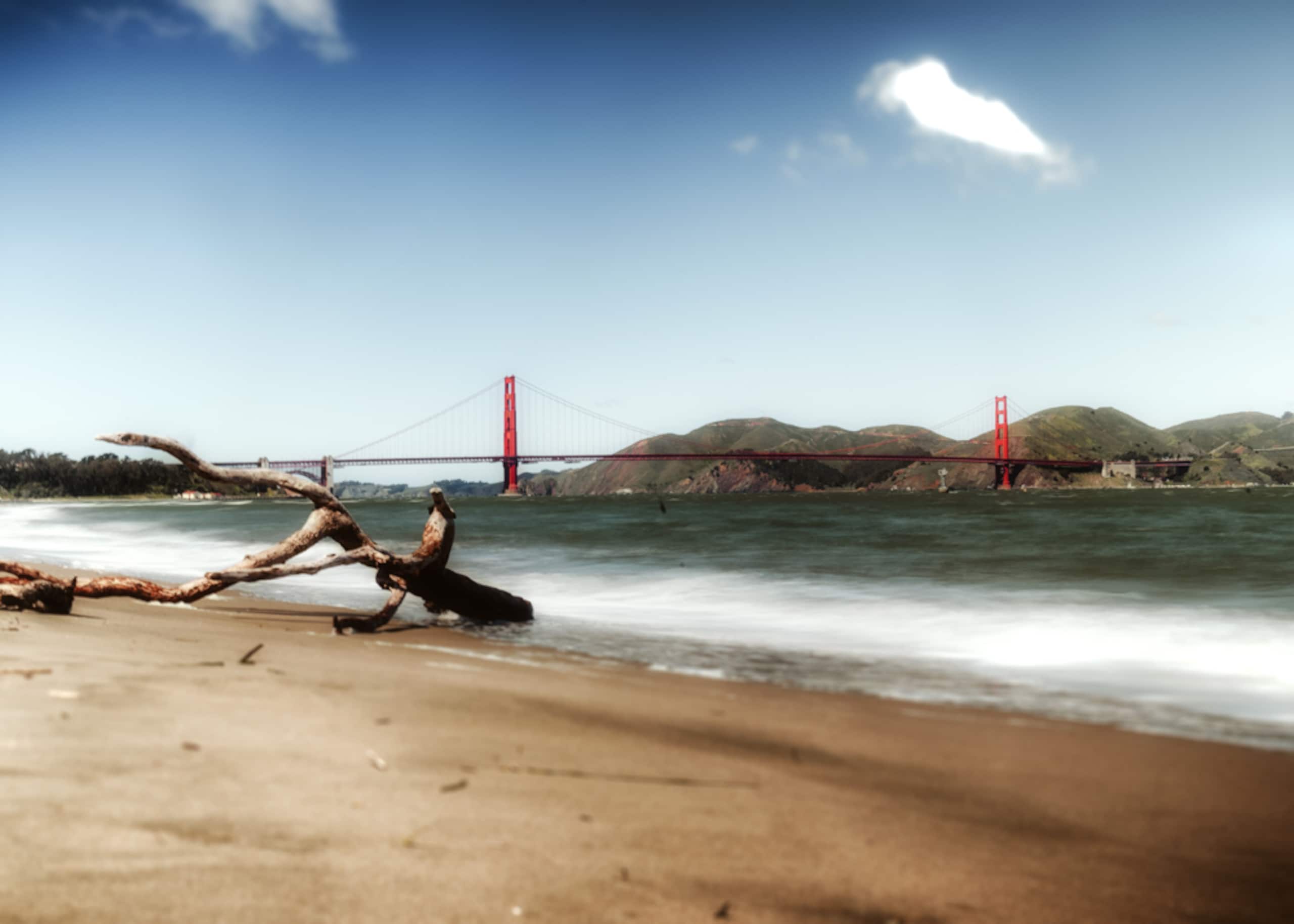 Guesthouse in San Francisco · ★4.95 · 2 bedrooms · 3 beds · 1 bath - Image 19