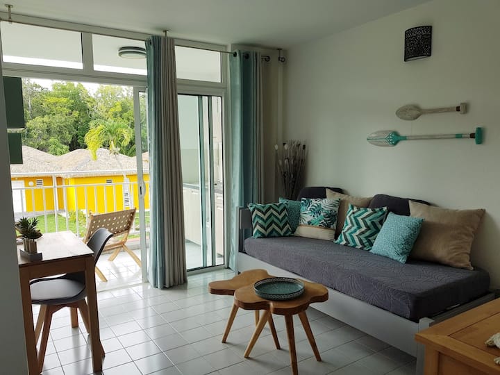 Appartement Avec Piscine Et Accès Direct Plage - Marie-Galante