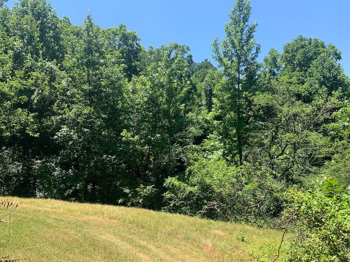 2br Guest Suite In Town on 4 Acre Private Estate Apartments for Rent