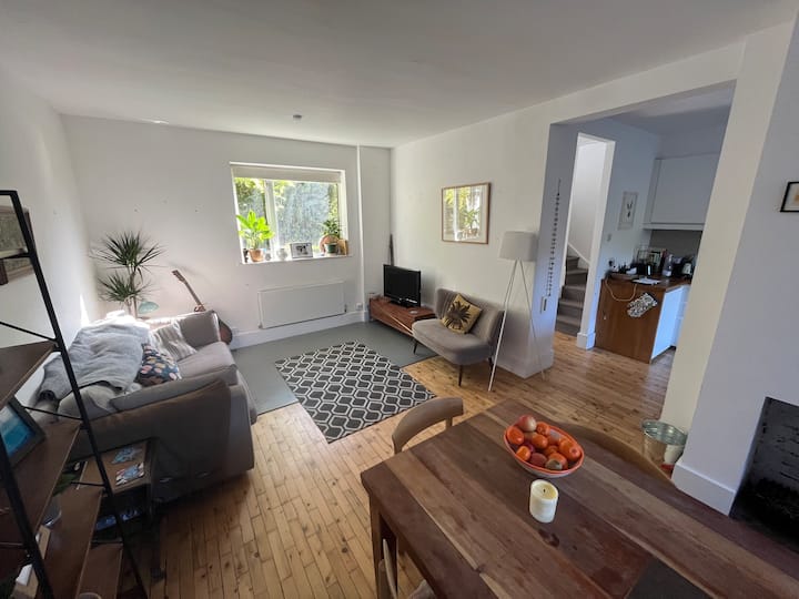 Chic & Open 4 Bedroom Home with Large Garden Houses for Rent in