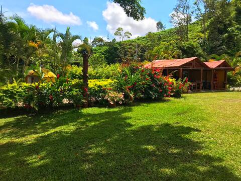 Spacious and Spectacular Country Estate with Pool