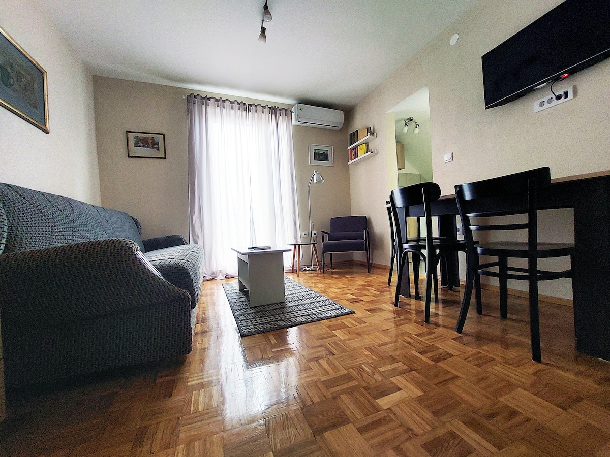 The living area features a cozy sofa paired with a coffee table, surrounded by a textured rug. A small dining area with black chairs is present, complemented by a window with sheer curtains, allowing natural light to fill the space. A wall-mounted TV adds modern convenience.