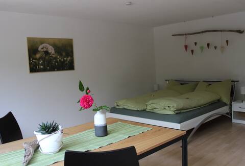 Cozy studio in single-family house