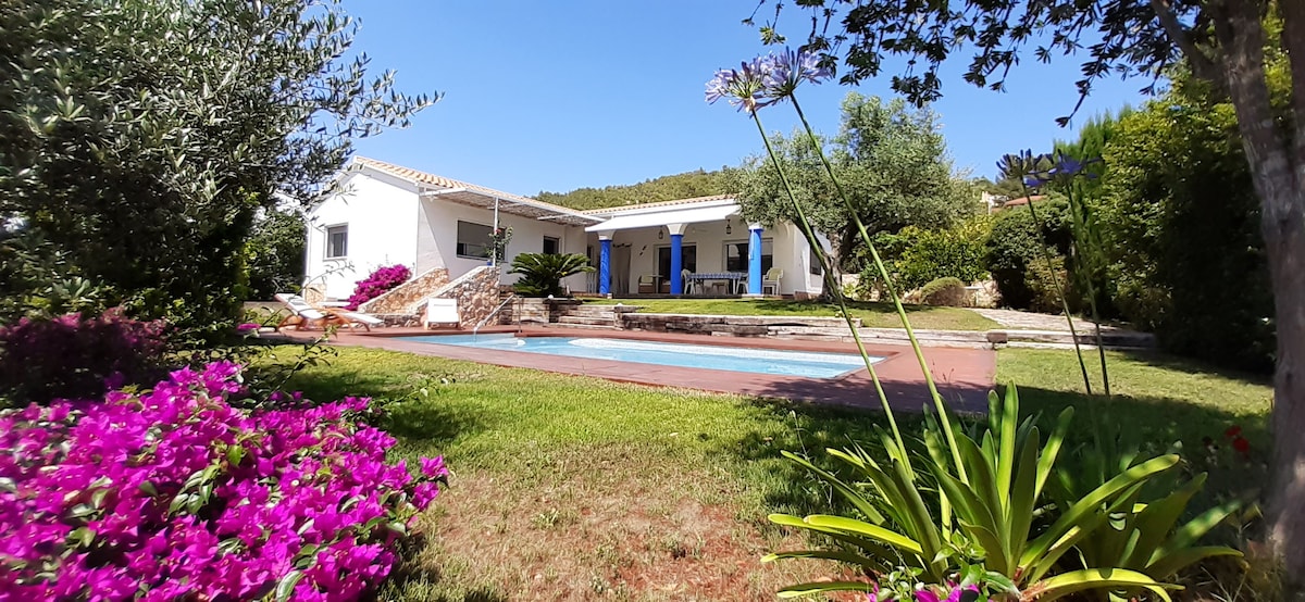 A white house is set within a vibrant garden, featuring flowering bushes and lush greenery. A swimming pool is visible, surrounded by a patio area. The clear blue sky creates a bright backdrop, enhancing the serenity of the outdoor space.