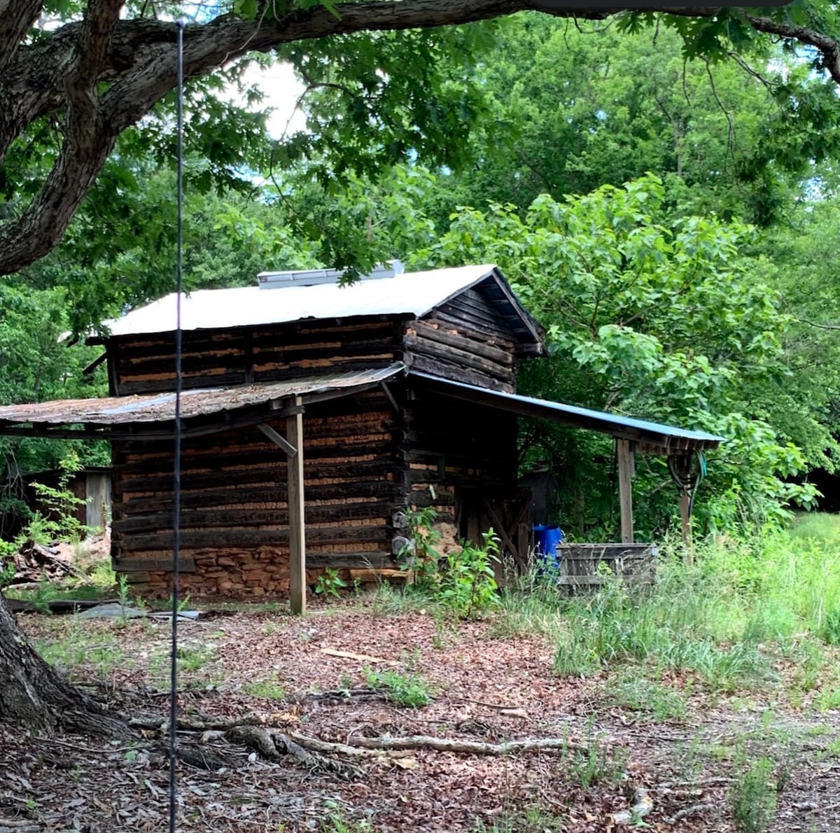 A rustic log cabin is nestled under a canopy of greenery, showcasing wooden logs with a natural finish. A small roof extends over a porch area, with surrounding foliage and scattered leaves visible on the ground.