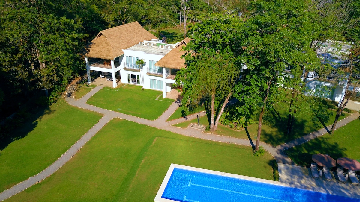 A serene outdoor view captures a spacious property surrounded by lush greenery. The contemporary building features large glass doors and a thatched roof, while a vibrant blue pool glistens nearby, complemented by well-maintained gardens and walking paths.