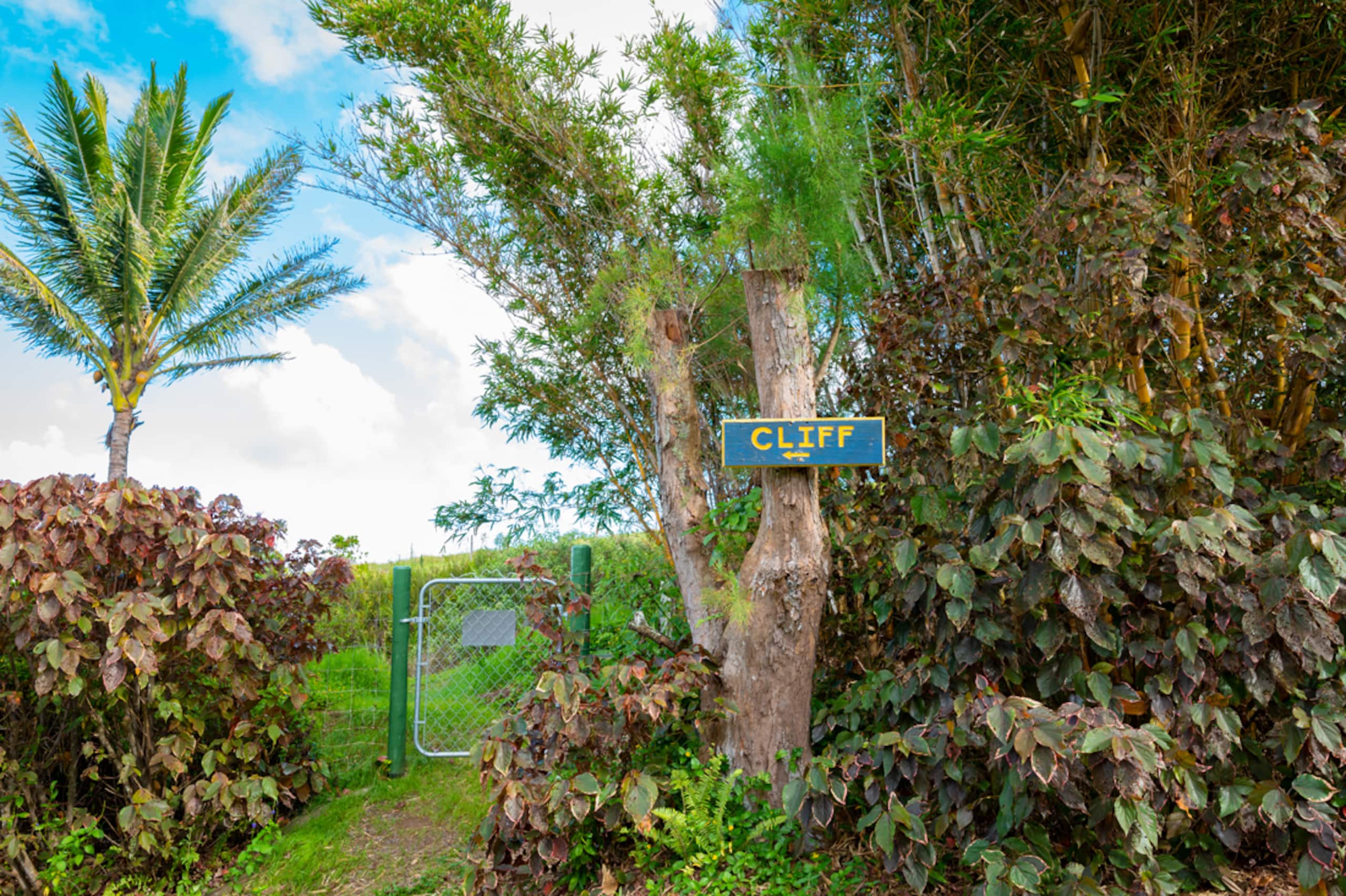 Haleakala Cottage - private hot tub, pool access - Photo 26