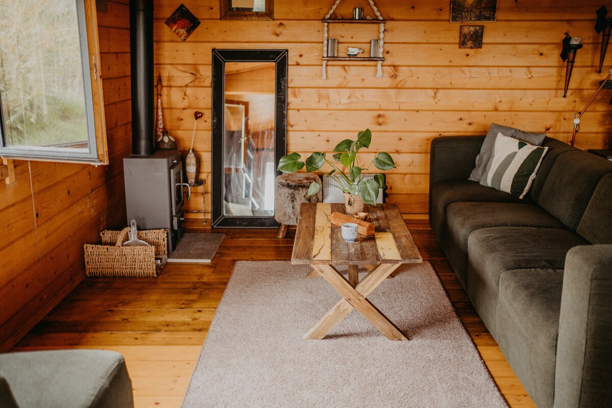 The interior of the wooden cabin features a spacious lounge area with a comfortable sectional sofa and a rustic wooden coffee table atop a soft rug. A mirror is positioned against the wall, and a potted plant adds a touch of greenery to the ambiance.